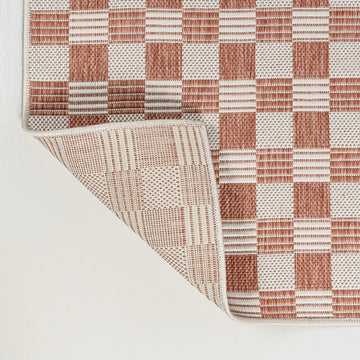 Aimee Traditional Cottage Checkerboard Indoor/Outdoor Area Rug
